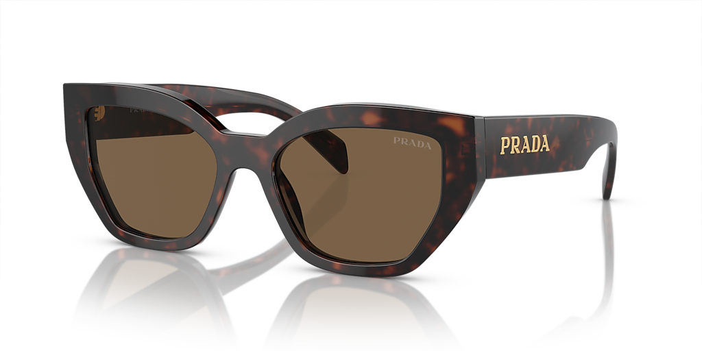 小物 PRADA l frame sunglasses brown Prada PR A09SF L (55 - 16) with Brown lenses and Brown frame