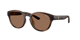 Polo Ralph Lauren PH4217 L (53 - 21) with Brown lenses and
