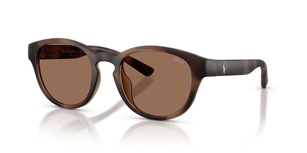 Polo Ralph Lauren PH4233U L (51 21) with Brown lenses and