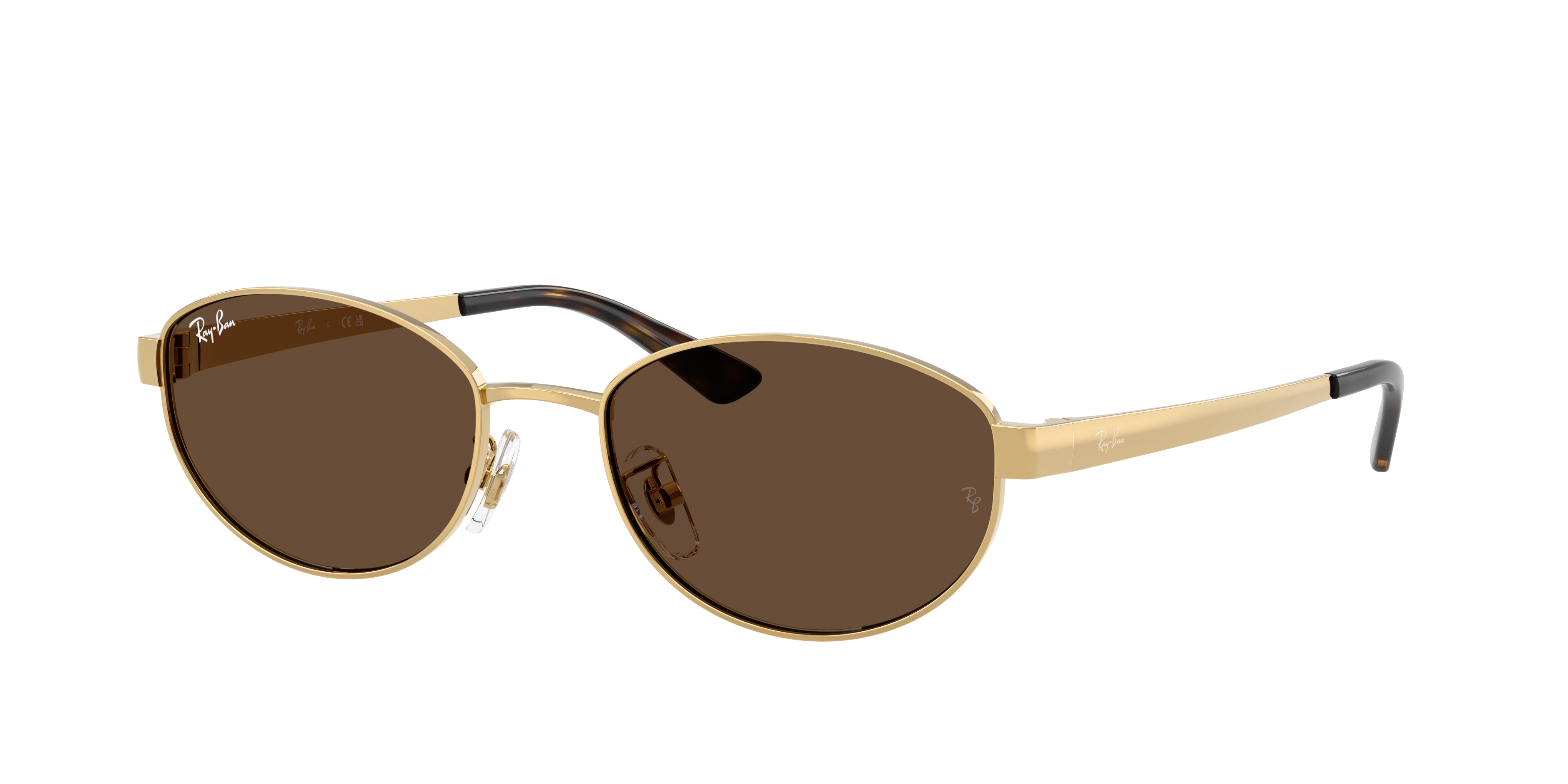 Ray Ban Ray In Brown