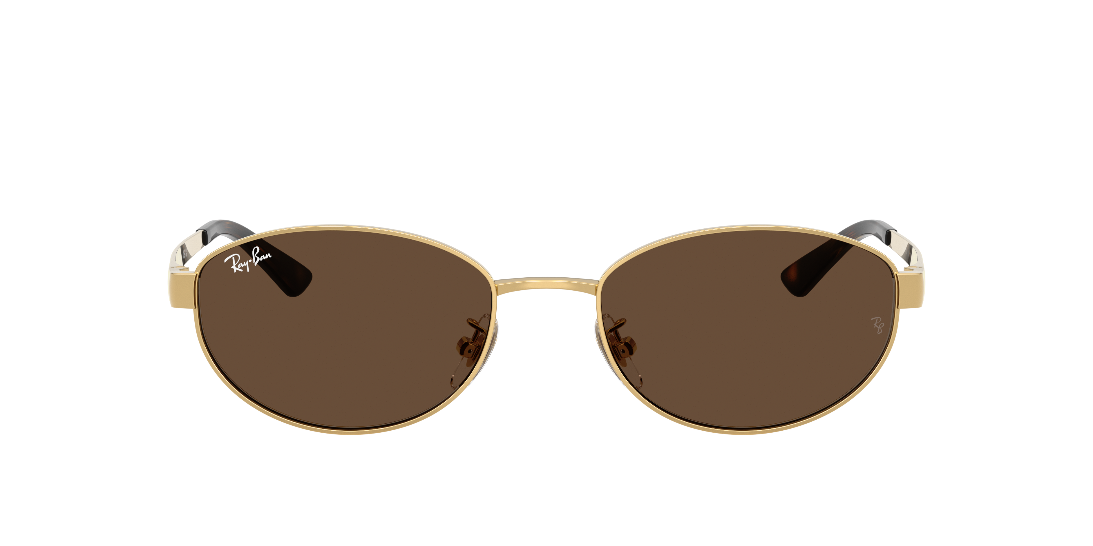 Ray Ban Ray In Brown