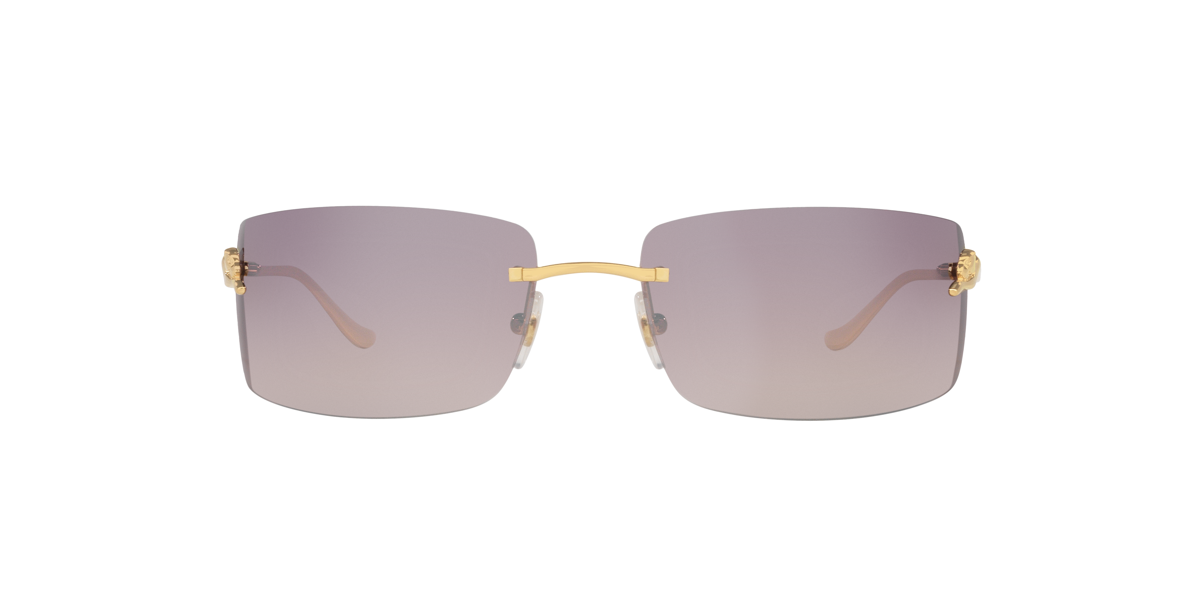 CARTIER CARTIER UNISEX SUNGLASS CT0503S