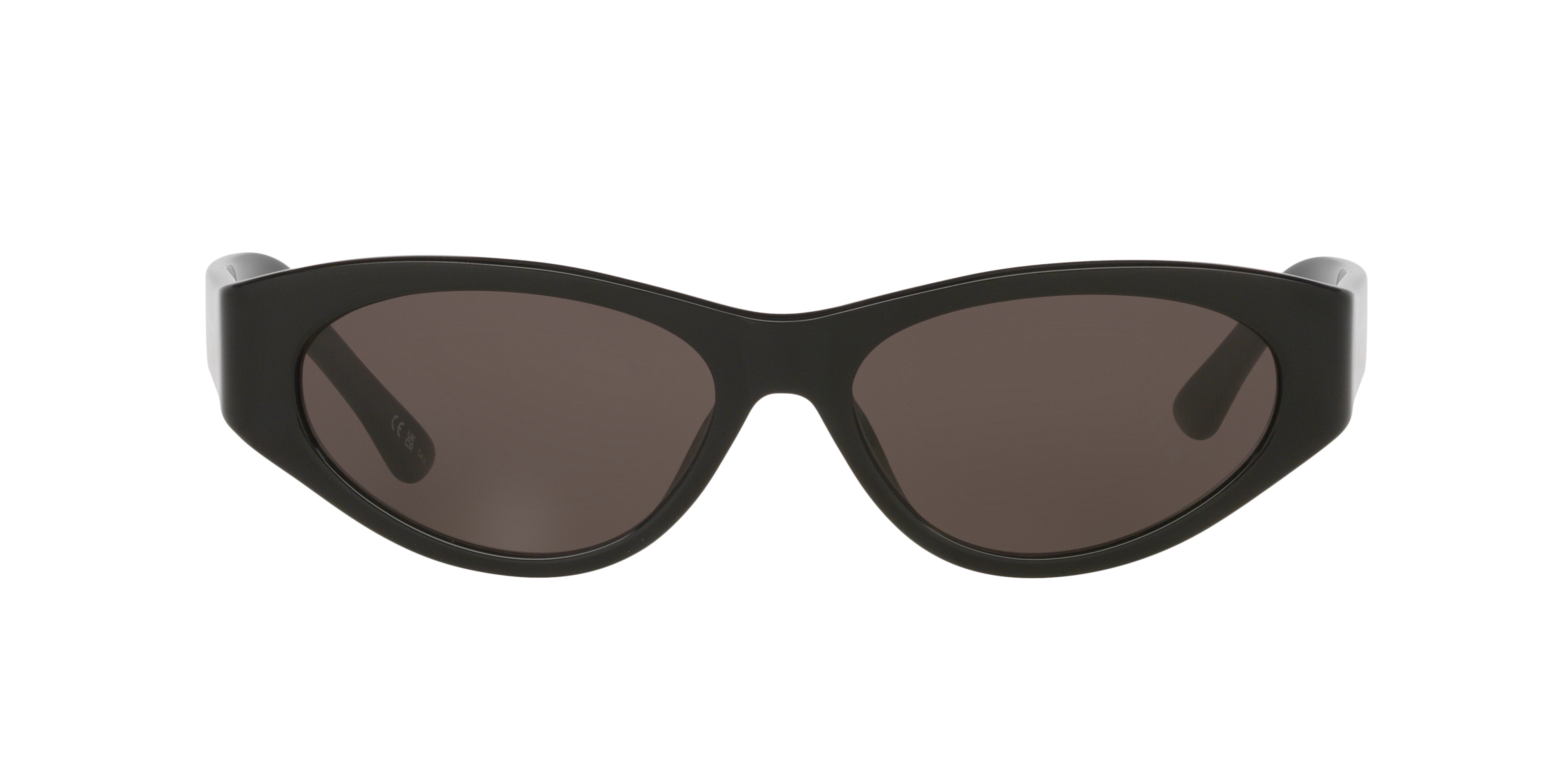 BALENCIAGA BALENCIAGA WOMAN SUNGLASSES BB0367S