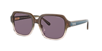 Coach HC8335U C7989 S (53 - 18) with Violet lenses and Brown