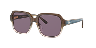 Coach HC8390U CR610 M (51 - 22) with Violet lenses and White
