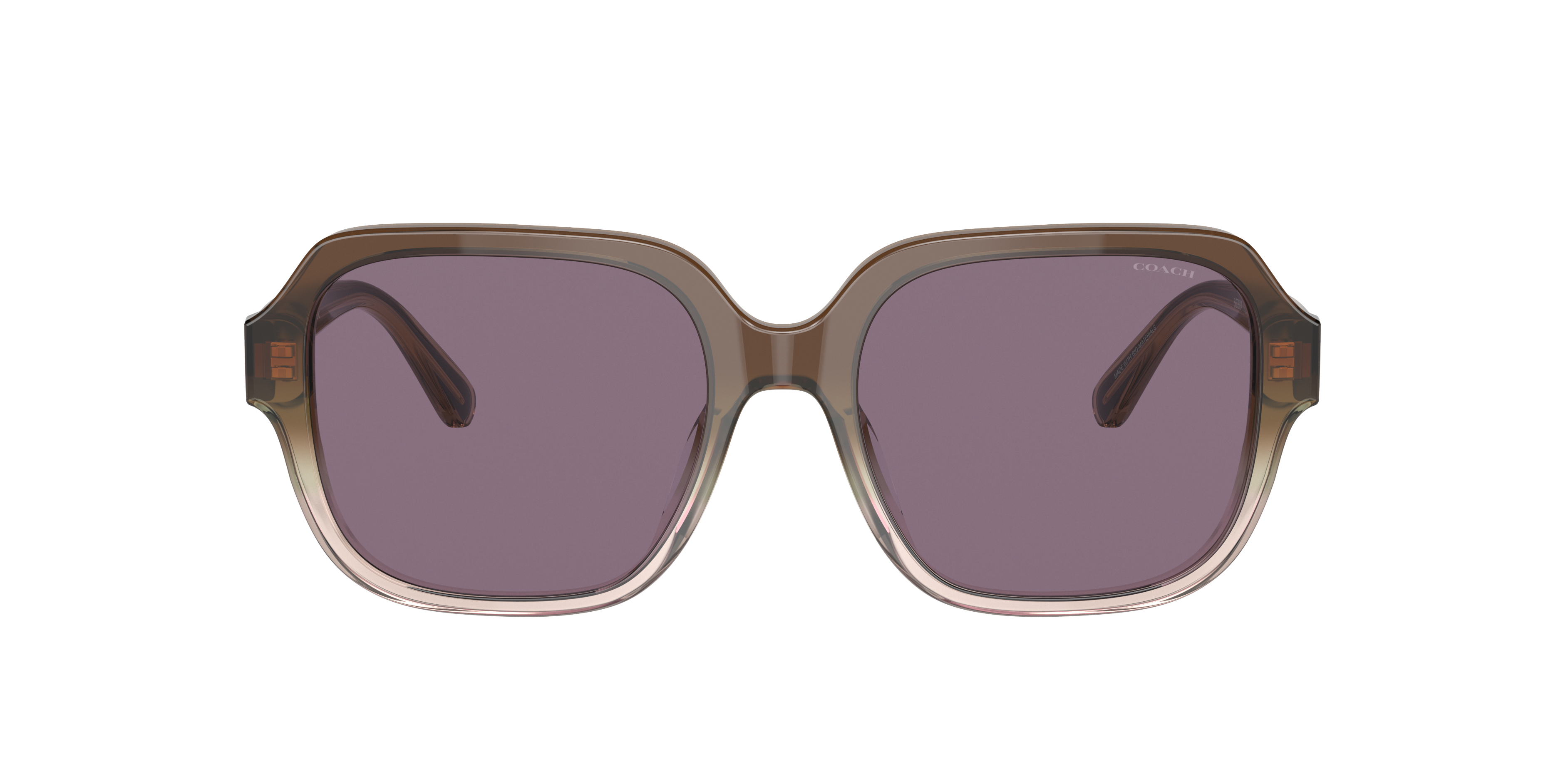 Coach HC8335U C7989 S (53 - 18) with Violet lenses and Brown