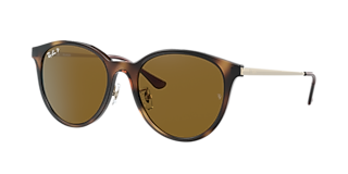 Ray-Ban RB4392D XXL (66 - 17) with Grey lenses and Black frame