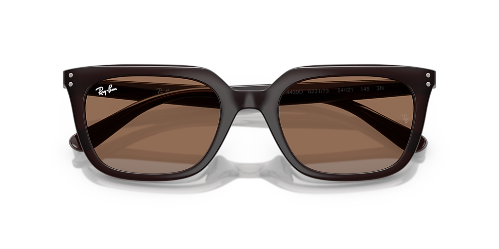 Ray-Ban サングラス ORB4439D ブラウンレンズ Ray-Ban RB4439D L (54 - 21) with Brown lenses and Brown frame