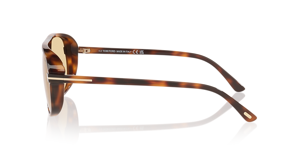 TOM FORD Guillaume_Tr Tortoise Gold - Men Luxury Sunglasses, Brown Lens