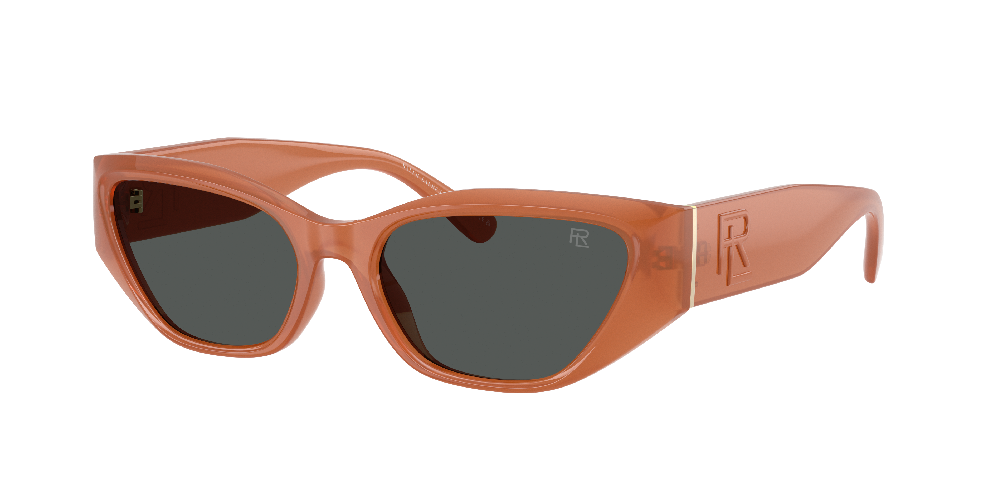 Polo Ralph Lauren Ralph Lauren Woman Sunglass Rl8231u In Dark Grey
