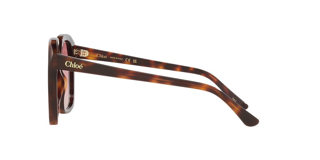Chloé CH0280S L (57 - 17) with Red lenses and Tortoise frame
