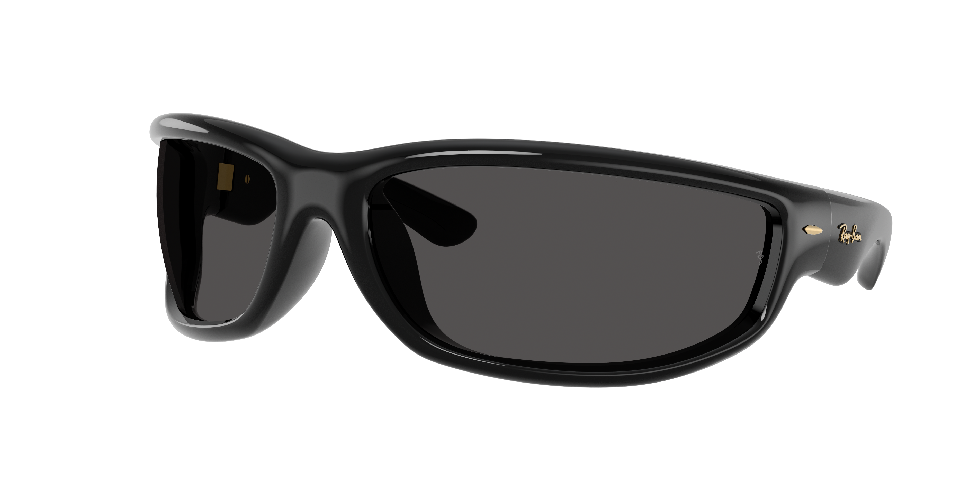 Ray Ban Ray In Black