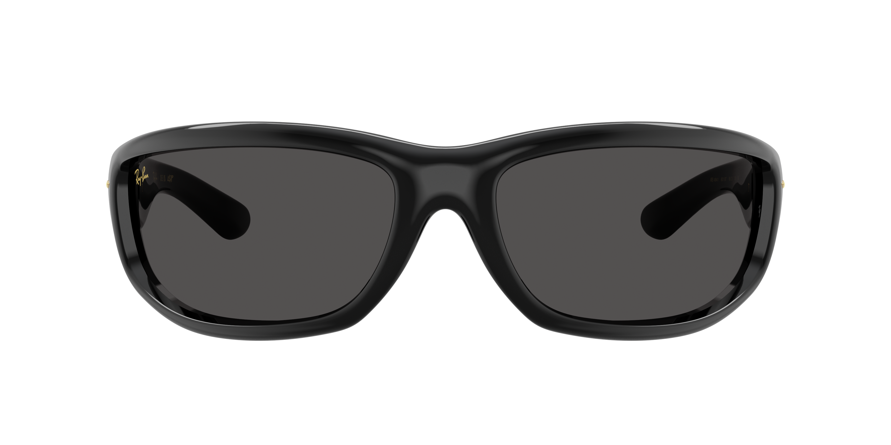 Ray Ban Ray In Black