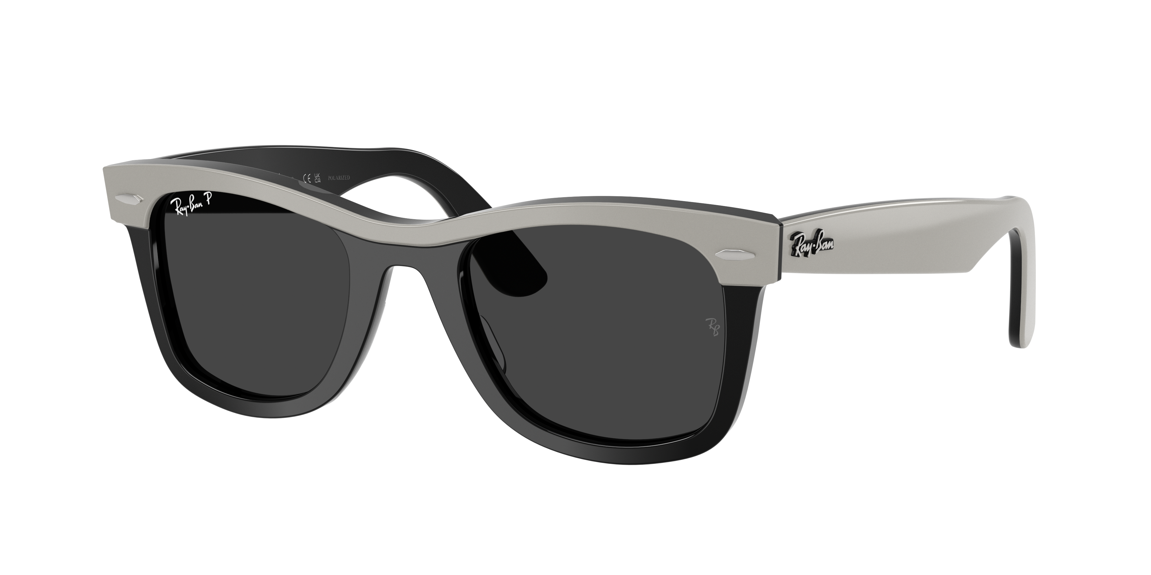 Ray Ban Ray In Black