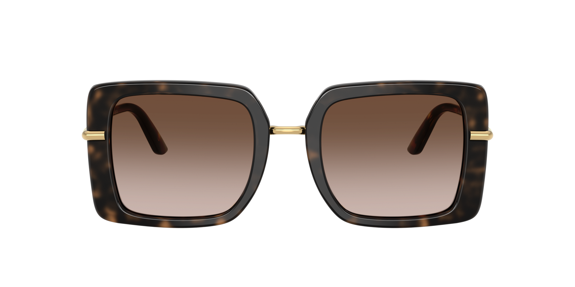 Dolce&Gabbana DG4491 XXL (52 - 22) with Brown lenses and 
