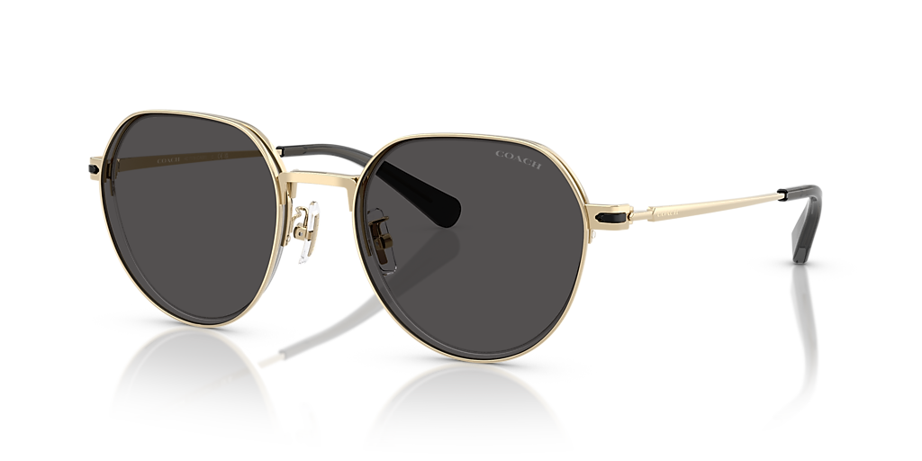 Coach HC7179 CAE81