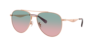 Coach HC7172 CW404 XXL (59 - 17) with Green lenses and Gold frame