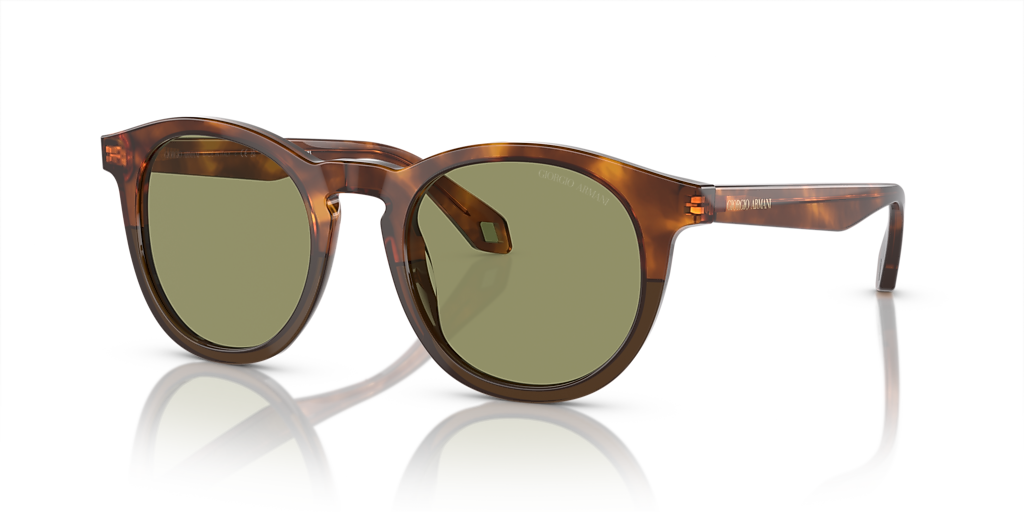 Giorgio Armani AR8192