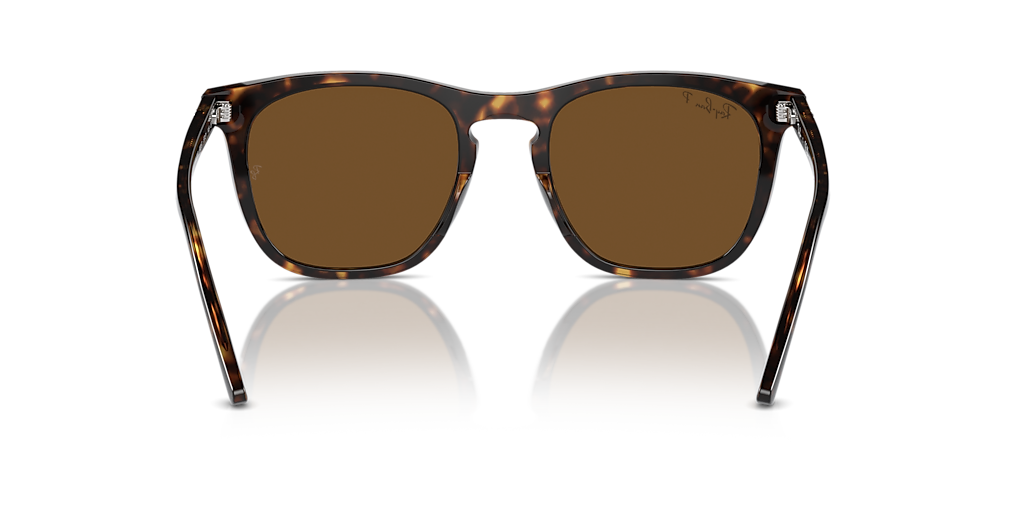 Ray-Ban RB2210 L (53 - 21) with Brown lenses and Tortoise