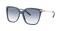サングラス \u005ereclow^ RC SSUM SUNGLASS BLUE Ralph Lauren RL8209 The Jacquie XL (57 - 15) with Blue