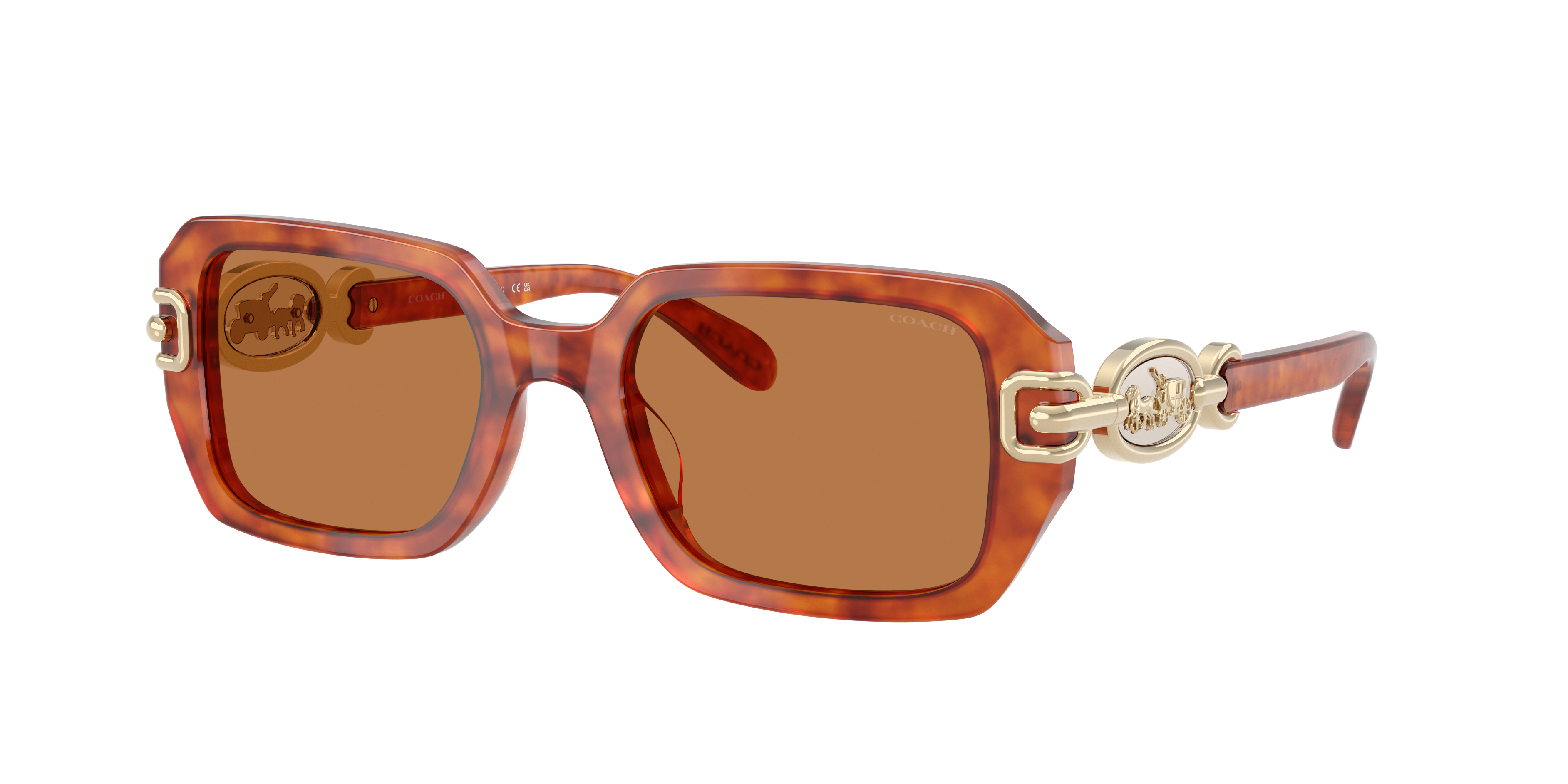 Coach HC8425U CAD74 XL (52 - 20) with Brown lenses and Tortoise