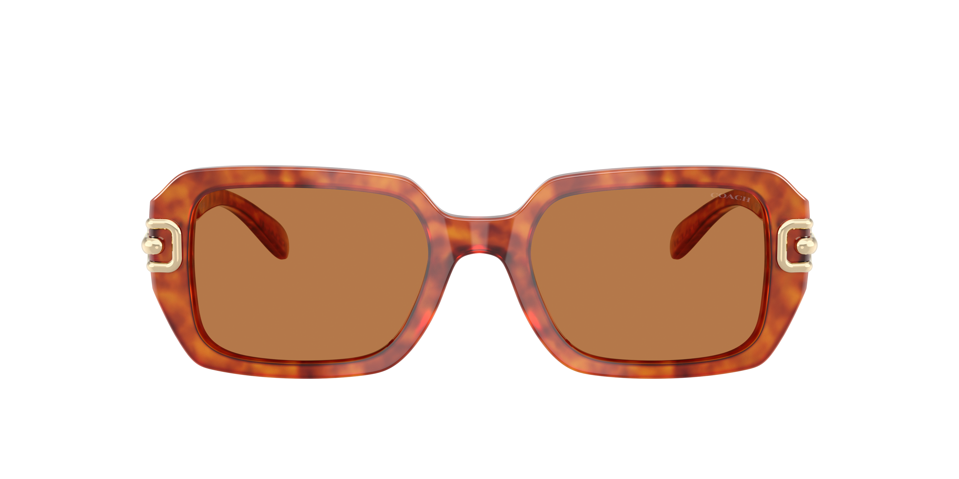 Coach HC8425U CAD74 XL (52 - 20) with Brown lenses and Tortoise Coach HC8425U CAD74 XL (52 - 20) with Brown lenses and Tortoise