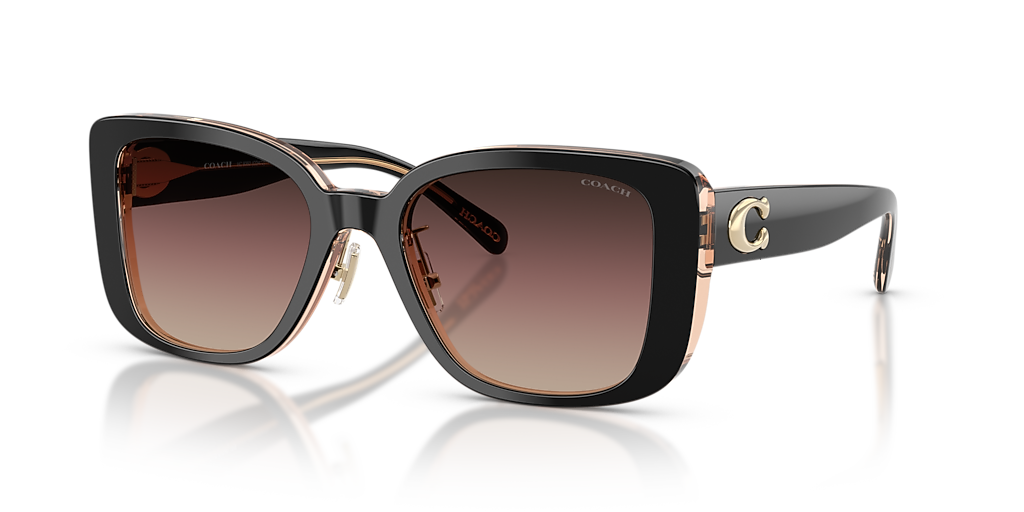 Coach HC8352 CD472 L (54 - 20) with Brown lenses and Black frame