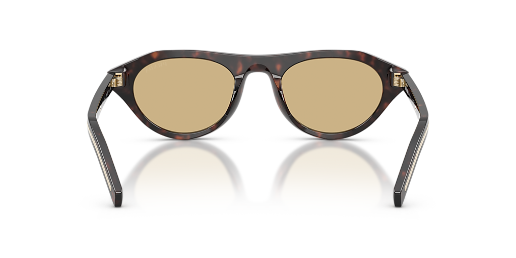 Prada PR B15S M (51 - 21) with Brown lenses and Tortoise