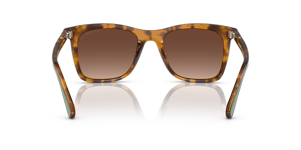 Coach HC8374U Ch561 M (51 - 20) with Brown lenses and