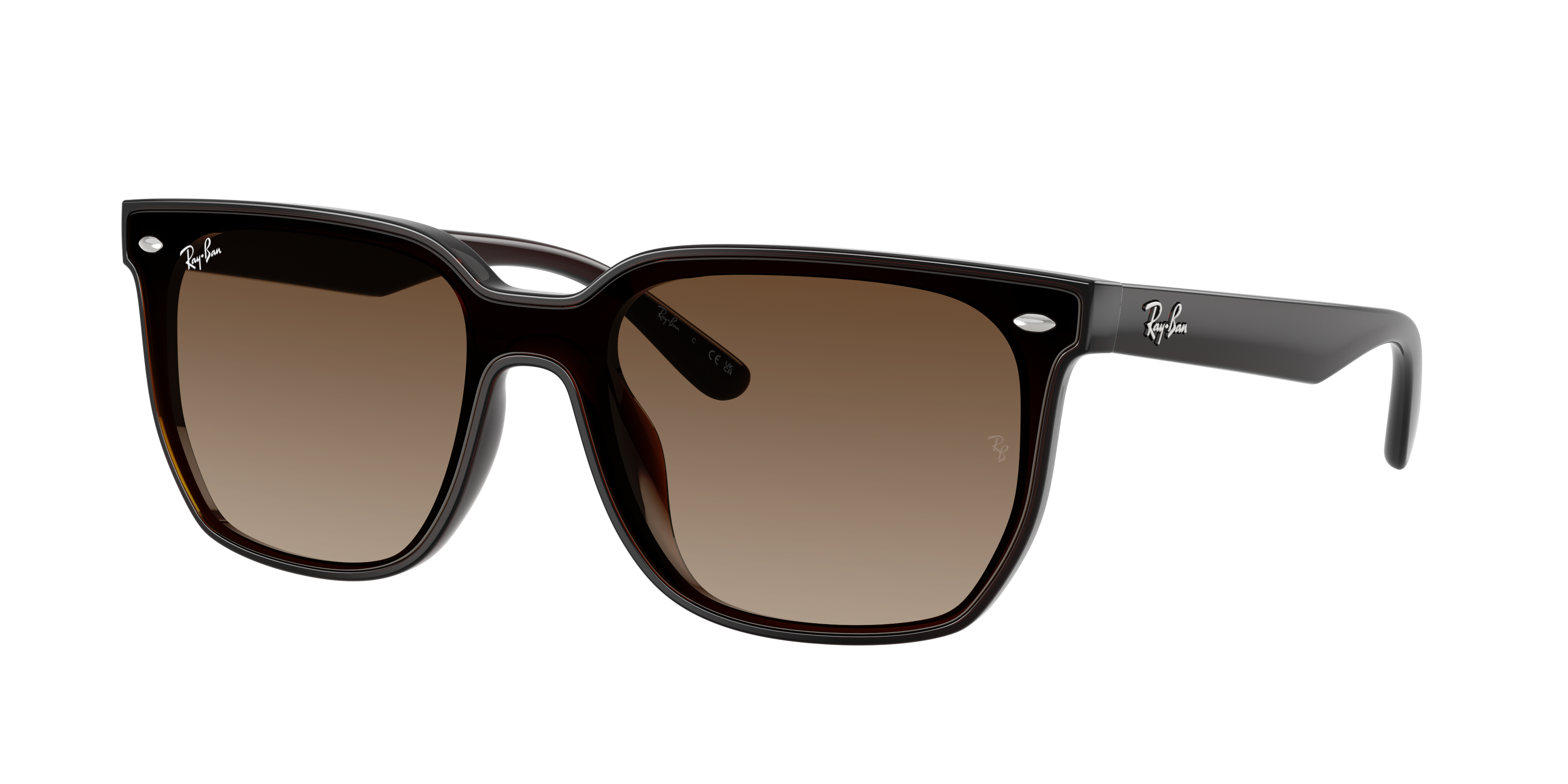 Ray Ban Ray In Brown