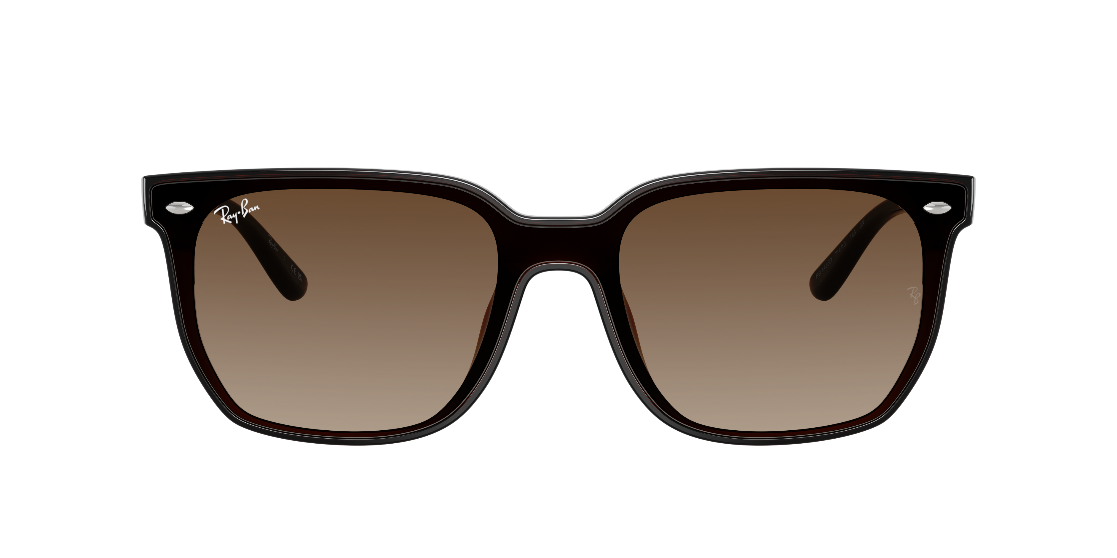 Ray Ban Ray In Brown