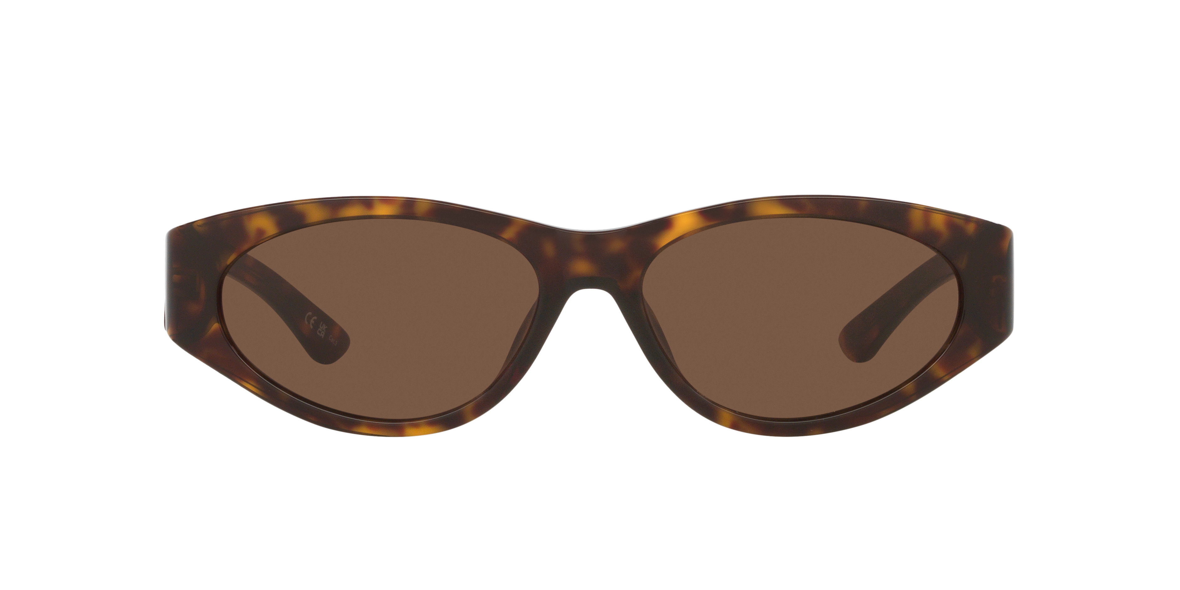 BALENCIAGA BALENCIAGA WOMAN SUNGLASSES BB0367S