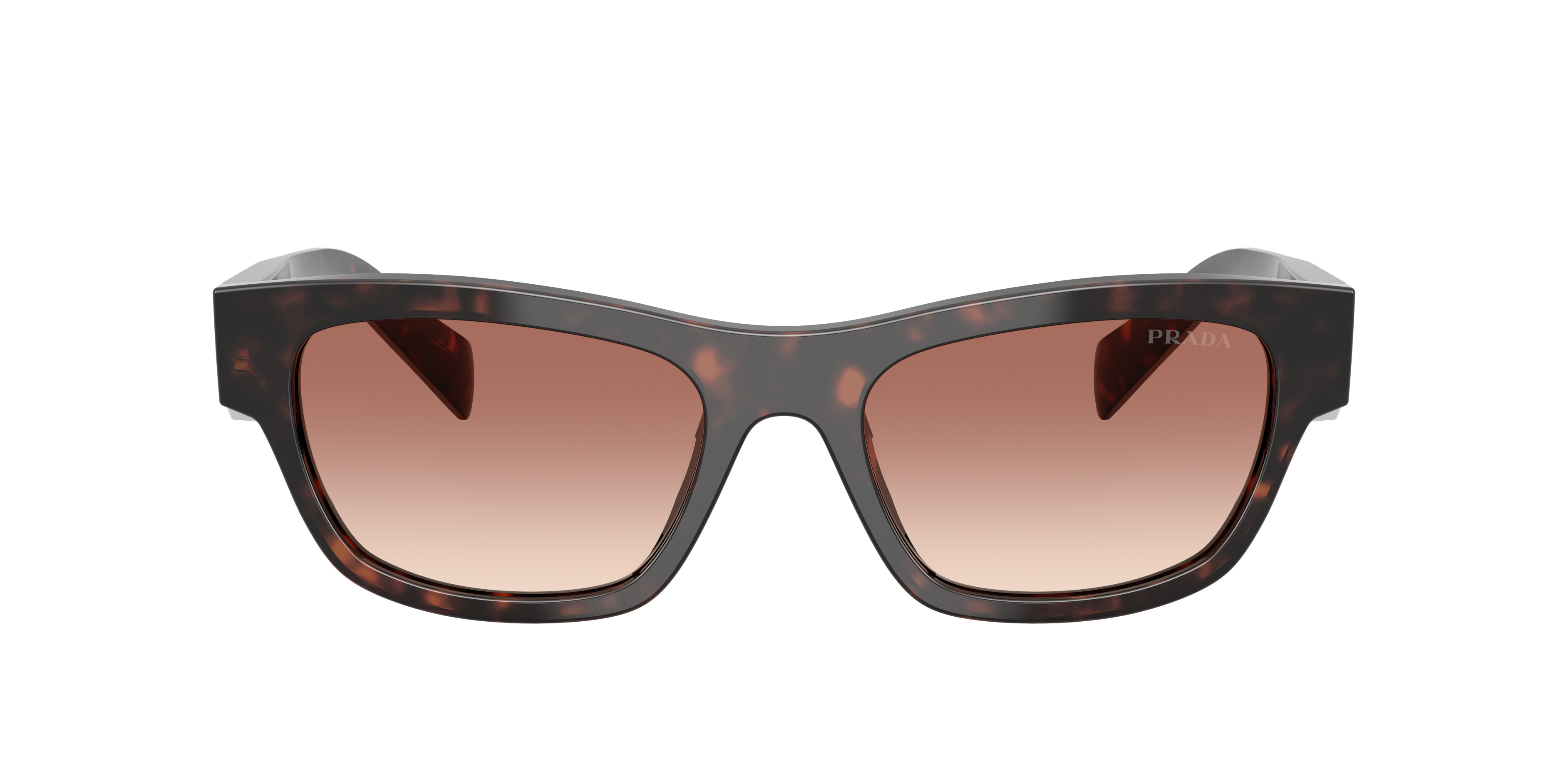 Prada PR B09S M (52 - 19) with Brown lenses and Tortoise