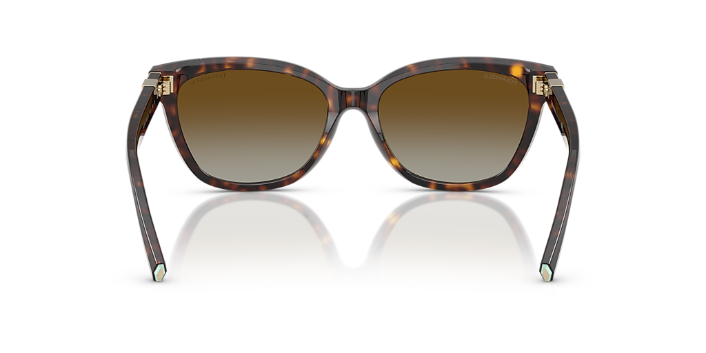 【アンジュさん専用】TIFFANY&Co. Bronze Button Tiffany & Co. TF4237B M (55 - 17) with Brown lenses and