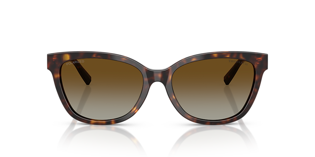 TIFFANY & CO. TF4237B Havana - Women Luxury Sunglasses, Polar Brown Gradient Lens