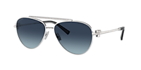 Tiffany & Co. TF3101B XL (59 - 14) with Grey lenses and Gold