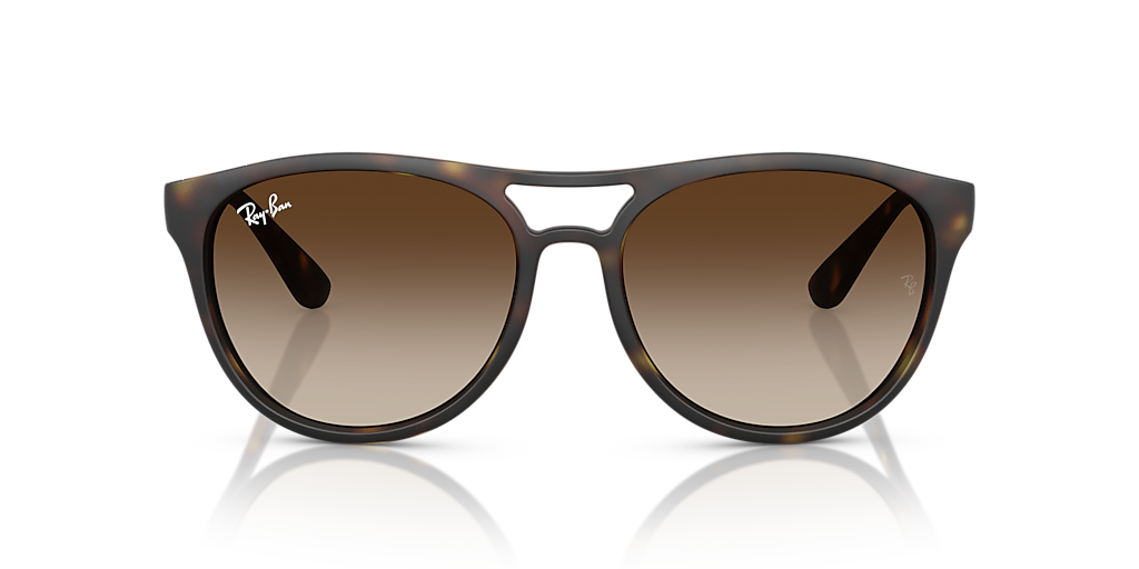 レイバン公式ストア】 Ray-Ban® RB4184 サングラス | マット