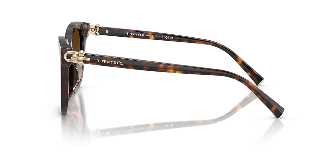 Tiffany & Co. TF4241D XXL (54 - 17) with Brown lenses and Tortoise