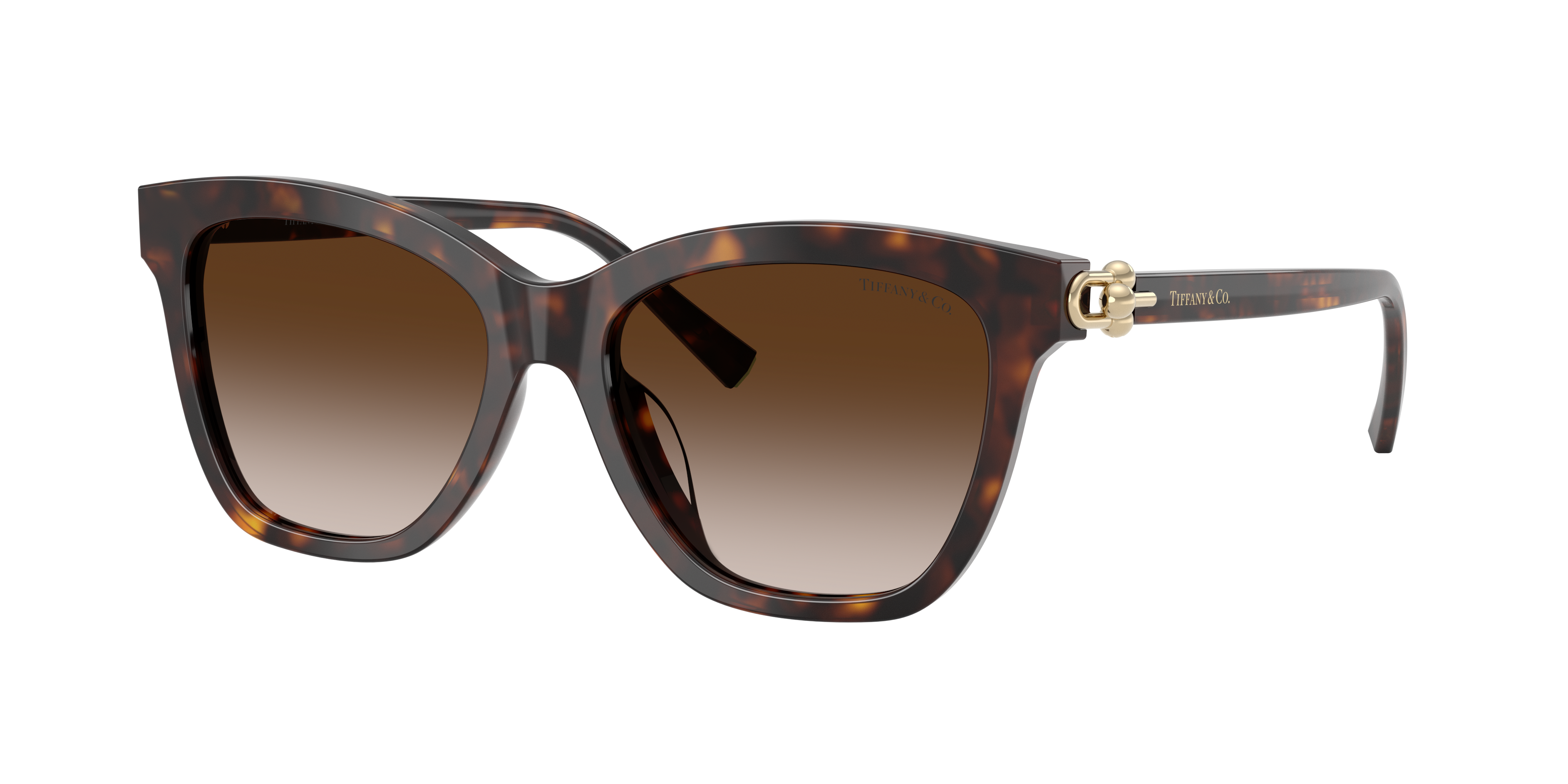 Tiffany & Co. TF4241D XXL (54 - 17) with Brown lenses and Tortoise