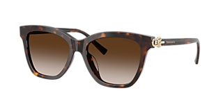 Tiffany & Co. TF4243D XL (55 - 19) with Brown lenses and Brown