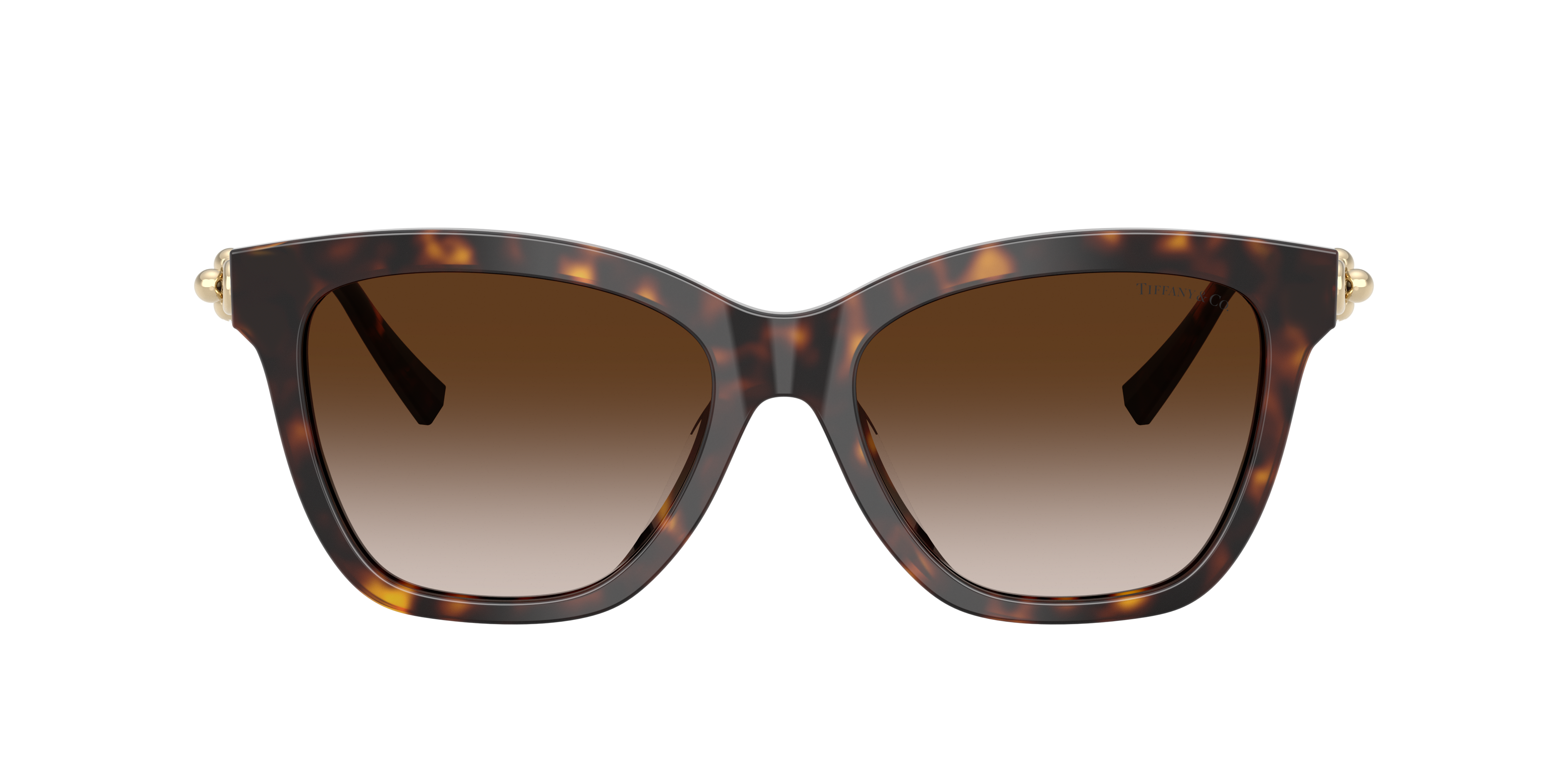 Tiffany & Co. TF4241D XXL (54 - 17) with Brown lenses and Tortoise