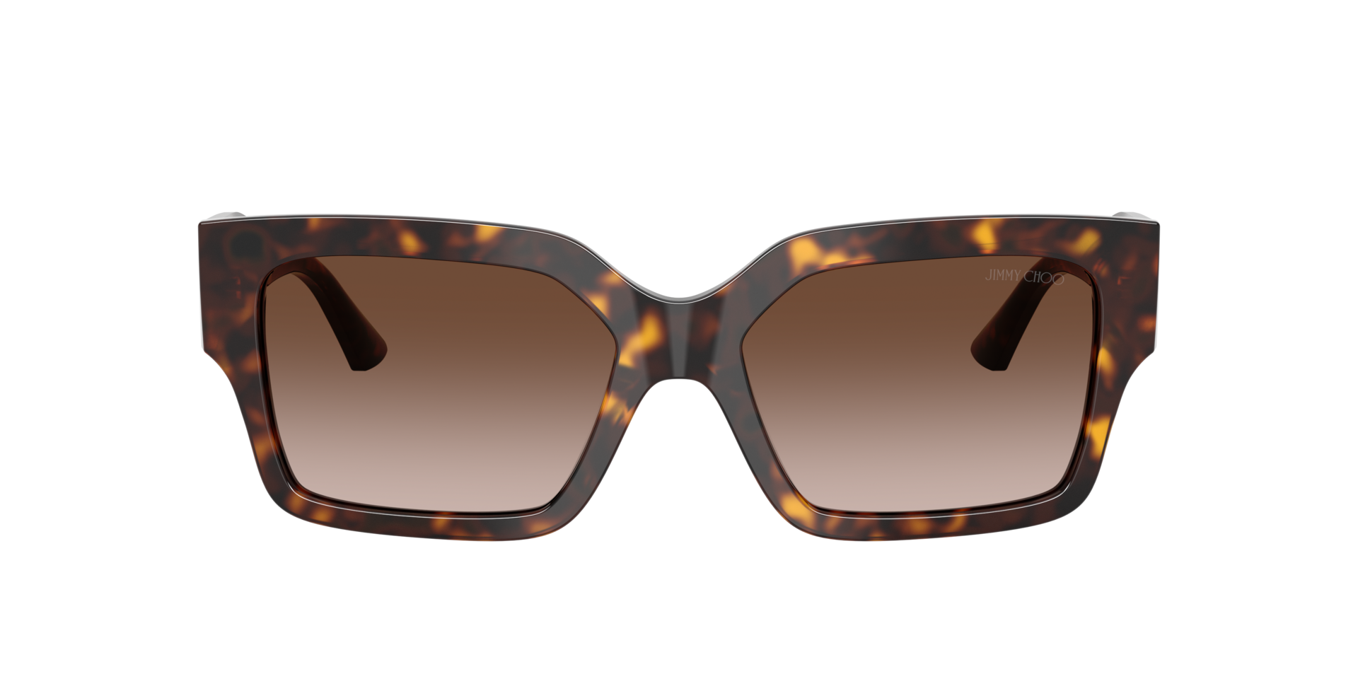 Jimmy Choo JC5058JU M (55 - 17) with Brown lenses and  display picture 1