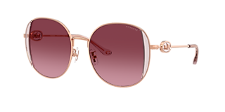 Coach HC7135 C7999 L (54 - 20) with Violet lenses and Gold frame