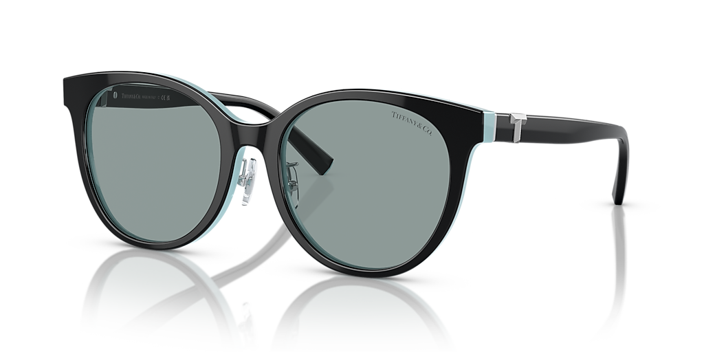 Tiffany & Co. TF4209D L (54 - 19) with Grey lenses and Black