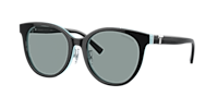 Tiffany & Co. TF4209D L (54 - 19) with Grey lenses and Black frame