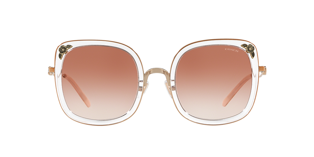 Coach HC7101B L1081 XL (53 - 23) with Pink lenses and Copper  display picture 1
