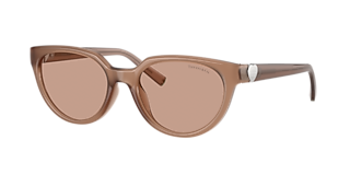 TIFFANYサングラス　TF4187 Tiffany & Co. TF4187 XL (55 - 18) with Grey lenses and Grey frame