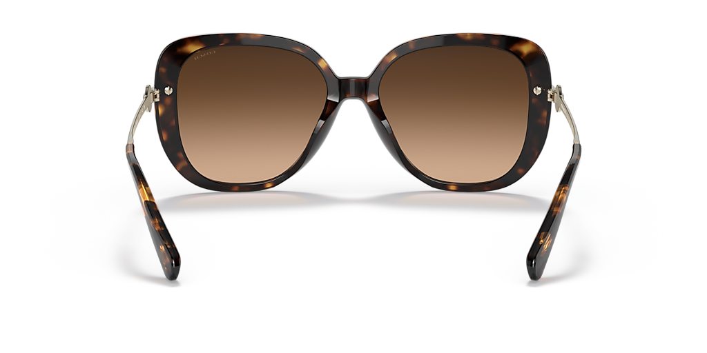 Coach HC8320 C6180 XL (55 - 17) with Brown lenses and Tortoise