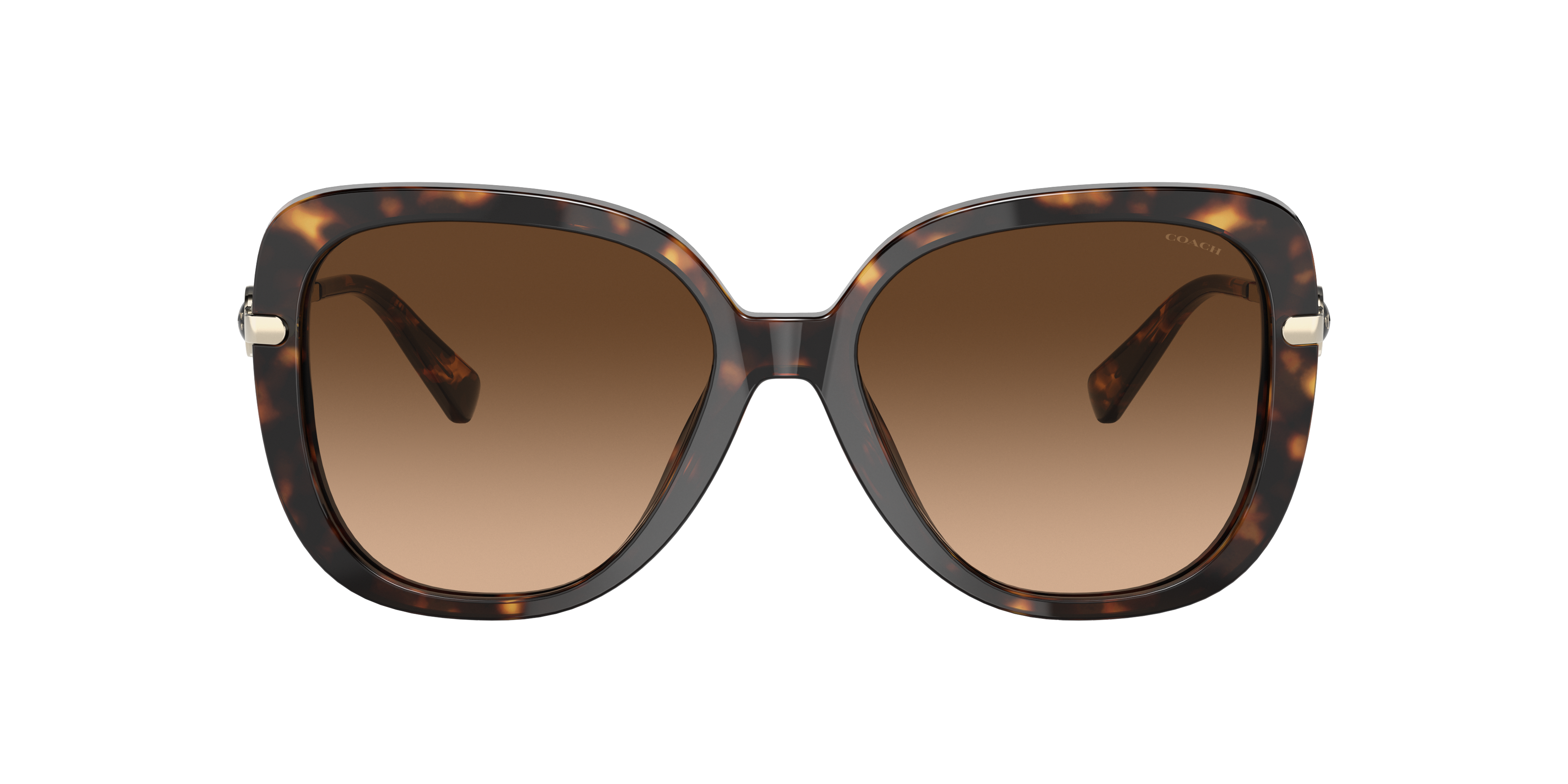 Coach HC8320 C6180 XL (55 - 17) with Brown lenses and Tortoise