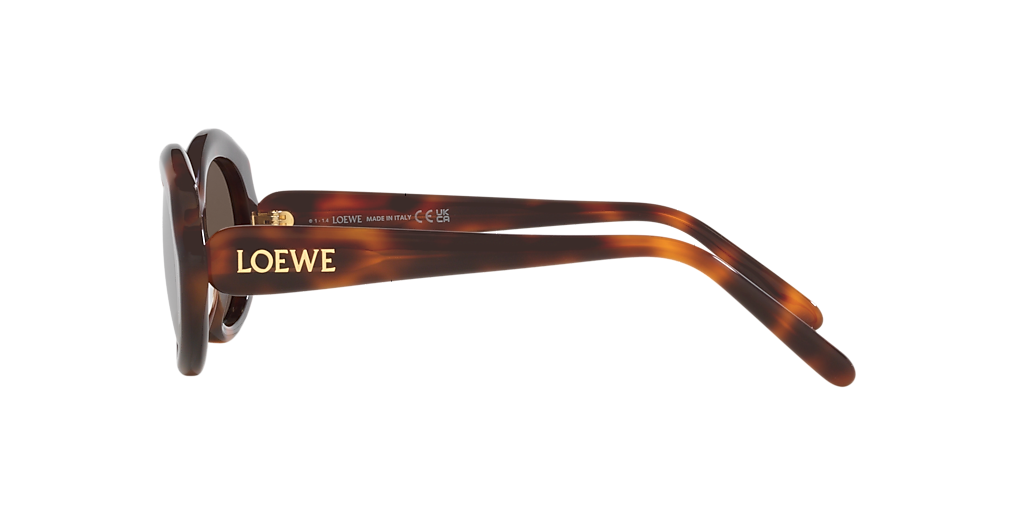 【送料&関税込】Loewe Lw40147i Slim 52e Havana Lucido Sungla Sunglasses Loewe Slim LW40147I 52E 54-20 Havane Foncé in